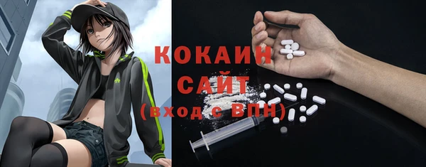 шишки Наволоки