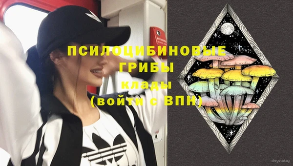 шишки Наволоки