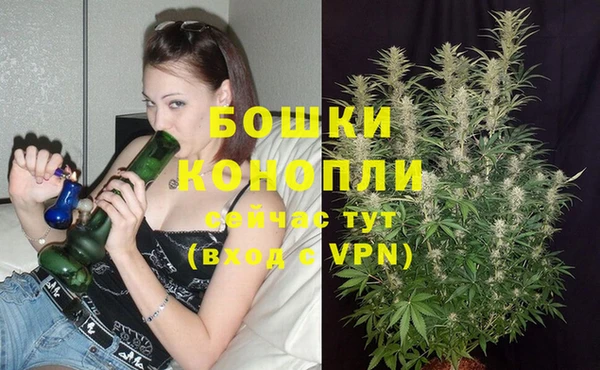 шишки Наволоки