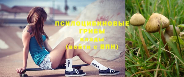 шишки Наволоки