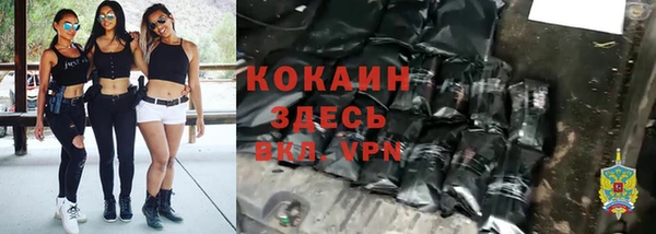 шишки Наволоки