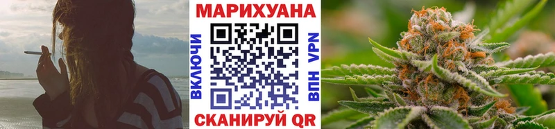 Канабис конопля Зуевка